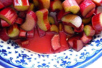 Rhubarb with its juices in a blue and white bowl.