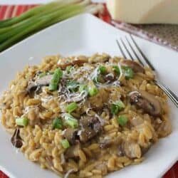 Mushroom orzo risotto on a white plate.