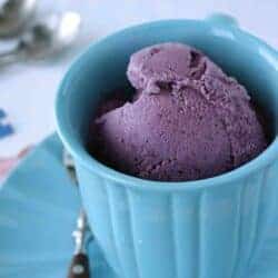 Blueberry Coconut Ice Cream (Gluten- & Dairy-Free) Recipe for World Autism Awareness Day