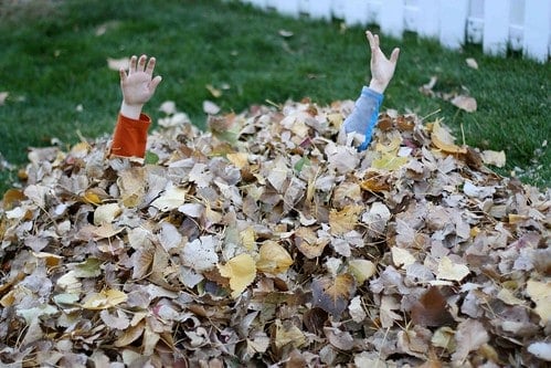 Two arms sticking out of a pile of leaves.