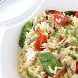 Pasta salad with chicken, tomatoes and bacon in a white bowl.