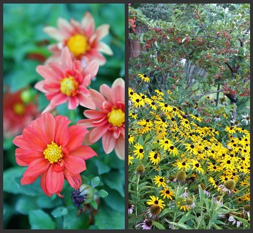 Garden Collage 2