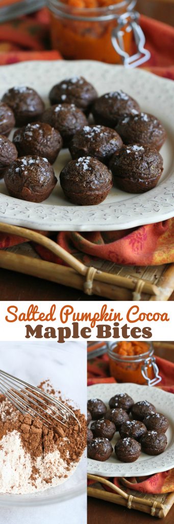 Mini Pumpkin Cocoa Maple Bites…These light dessert bites are perfect when you just want something to curb your dessert craving! 43 calories and 1 Weight Watchers PP | cookincanuck.com #recipe