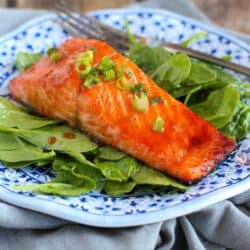 Soy-Honey Glazed Salmon…Ready in 10 minutes or less, this delicious salmon is perfect for a weekday meal! 240 calories and 1 Weight Watchers Freestyle SP