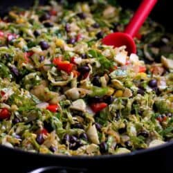Southwestern Brussels Sprouts with Black Beans and Corn…Spruce up sautéed Brussels sprouts by adding a southwestern twist! 144 calories and 3 Weight Watchers SmartPoints