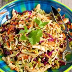 Thai Chicken Salad Recipe…It’s virtually impossible to stop eating this delicious, healthy salad! 236 calories and 4 Weight Watchers Freestyle SP #cleaneating #weightwatchers #chickenrecipes