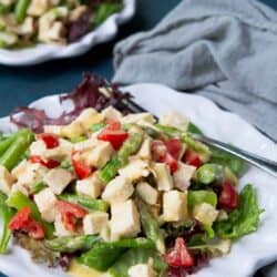 Lighten up lunch with this no-mayo Dijon chicken salad recipe. Fresh asparagus and tomatoes add flavor and plenty of nutrients! 179 calories and 2 Weight Watchers Freestyle SP