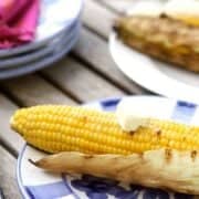 Grilled corn cobs on white and blue plates.