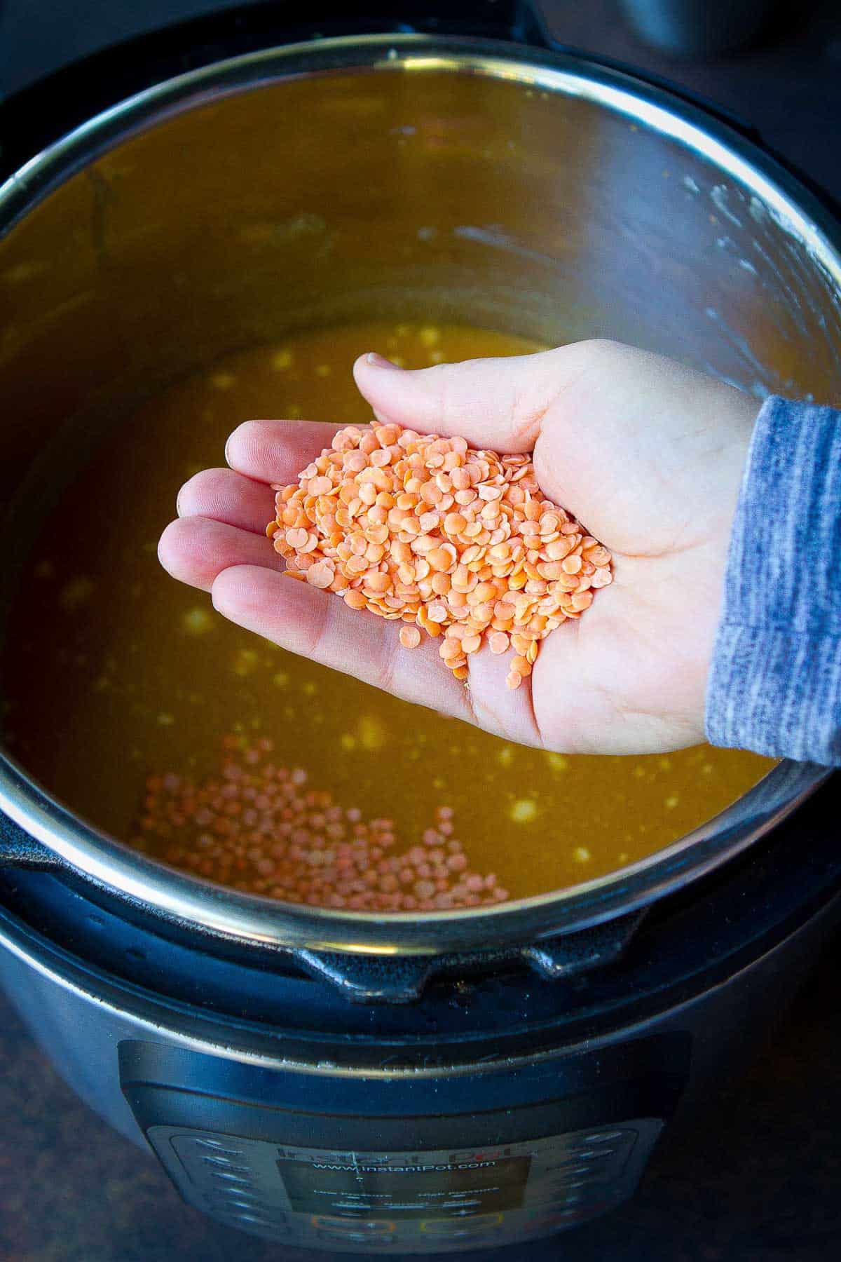 Hand holding red lentils, hovering over an Instant Pot half filled with broth and spices