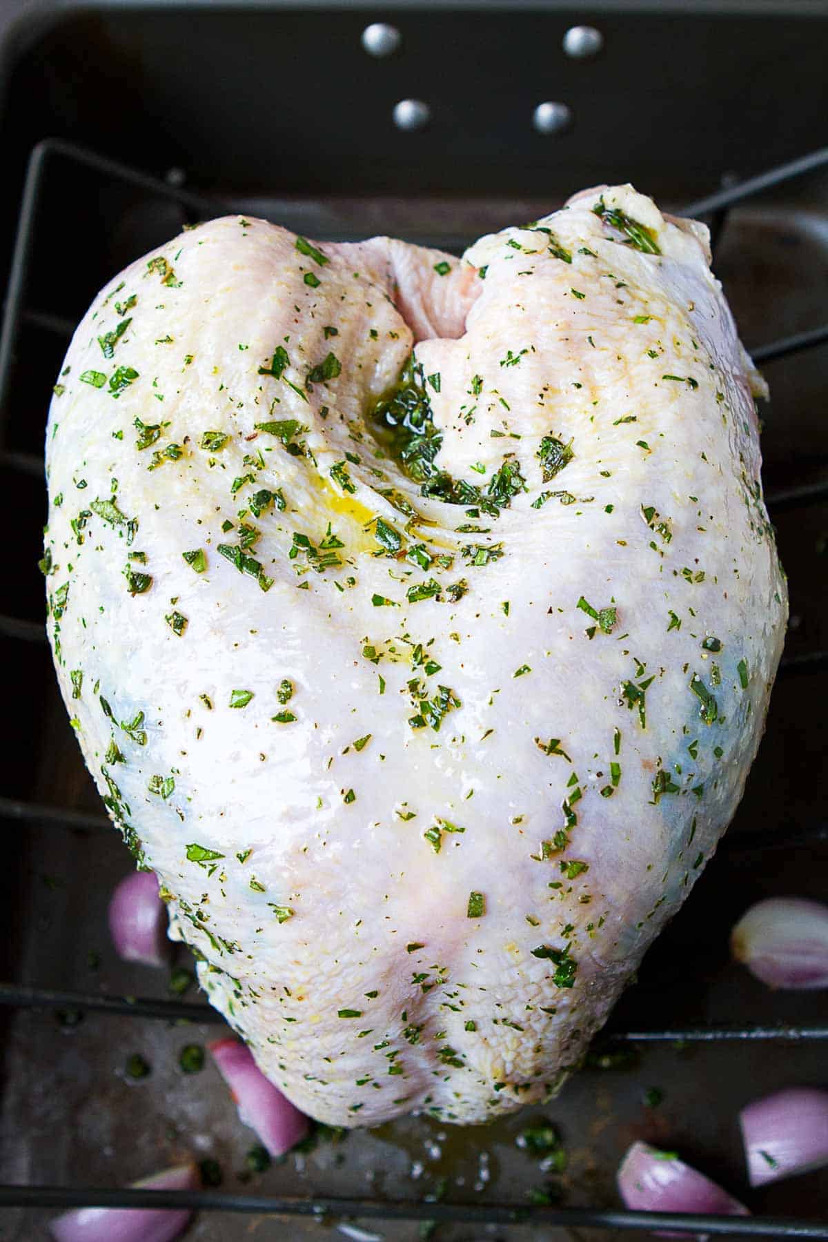 Raw turkey breast rubbed with olive and herbs in a roasting pan.